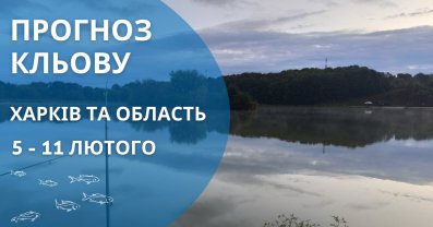 Прогноз кльову для рибалки в Харкові та області (5-11 лютого)