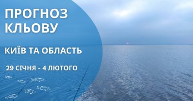 Прогноз кльову риби у Києві та області з 29 січня по 4 лютого