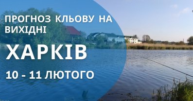 Прогноз кльову на вихідні у Харкові та області: вдалий час для риболовлі від ФішХаб.
