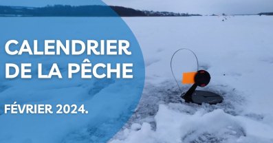 Calendrier des pêcheurs pour février 2024 - les meilleurs jours pour pêcher