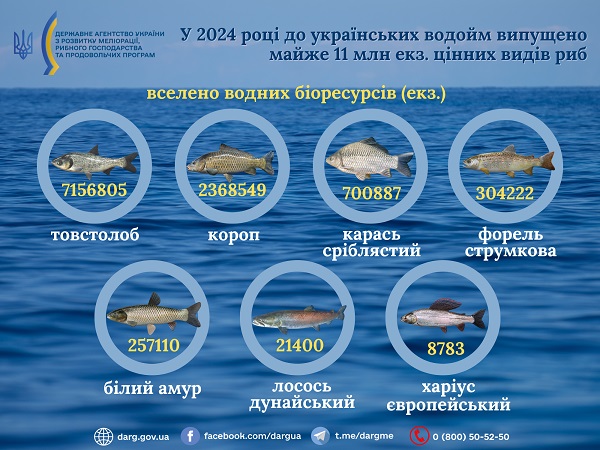 Випущена риба 2024 року