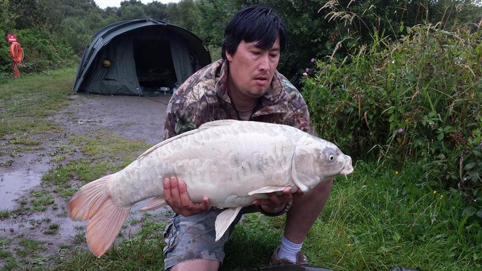 Ghost Carp Unraveling The Secrets FisHub
