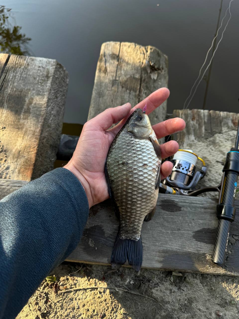 2 котушки Ryobi Zauber 1000 та 2000 + запасна шпуля, Зображення 3