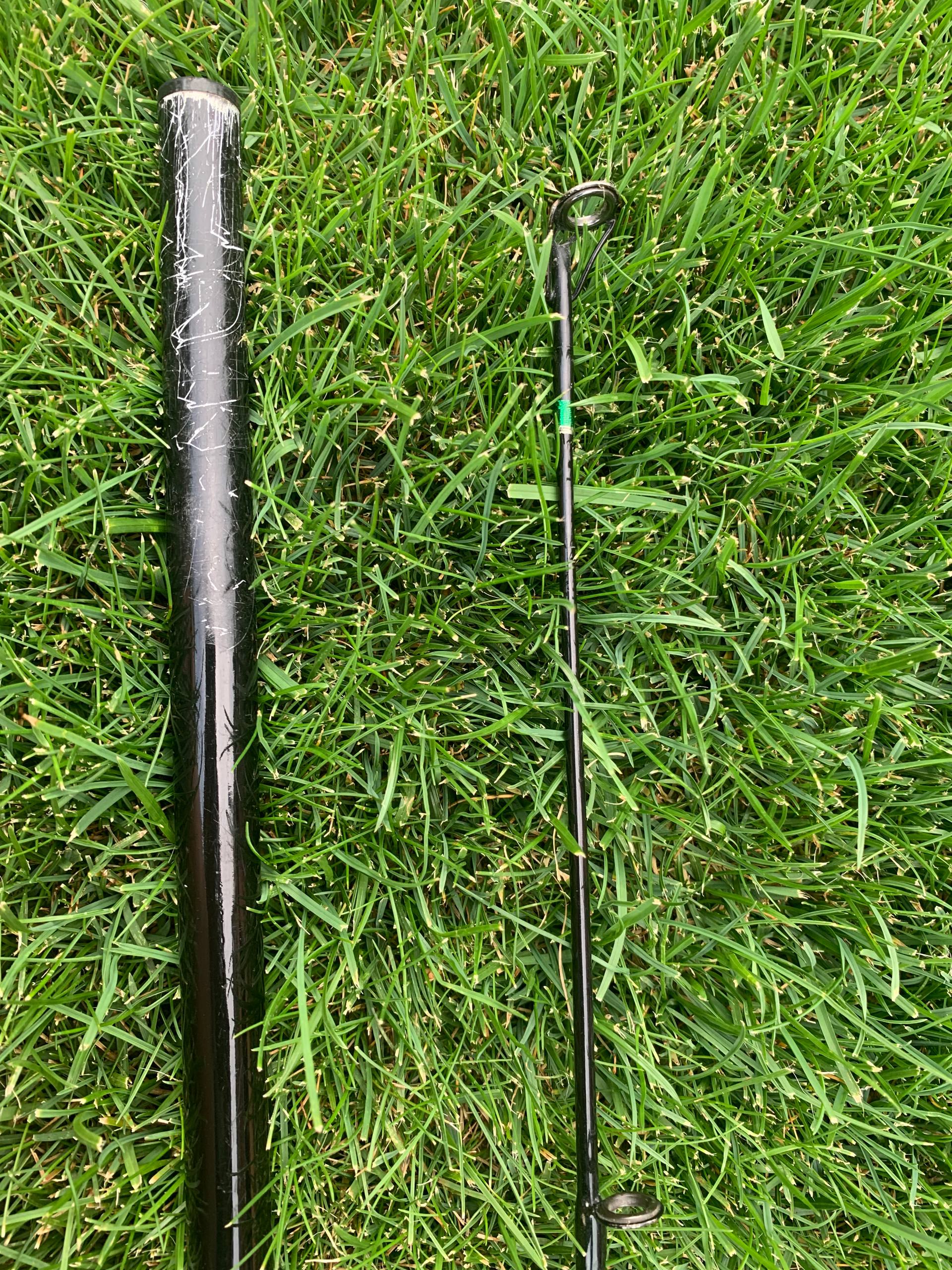 Коропове вудлище, Зображення 5