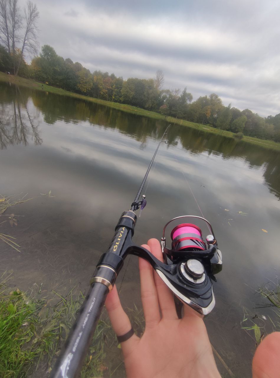 Azura olivia Area 0.5-3.5g, Зображення 2