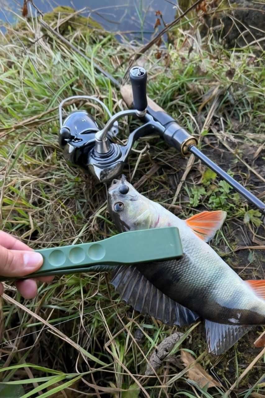 Daiwa Luvias PC LT 2500, Зображення 1