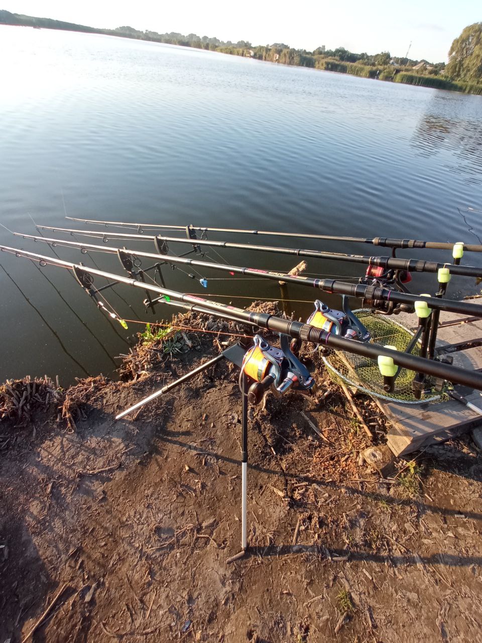 Коропові снасті, Зображення 5