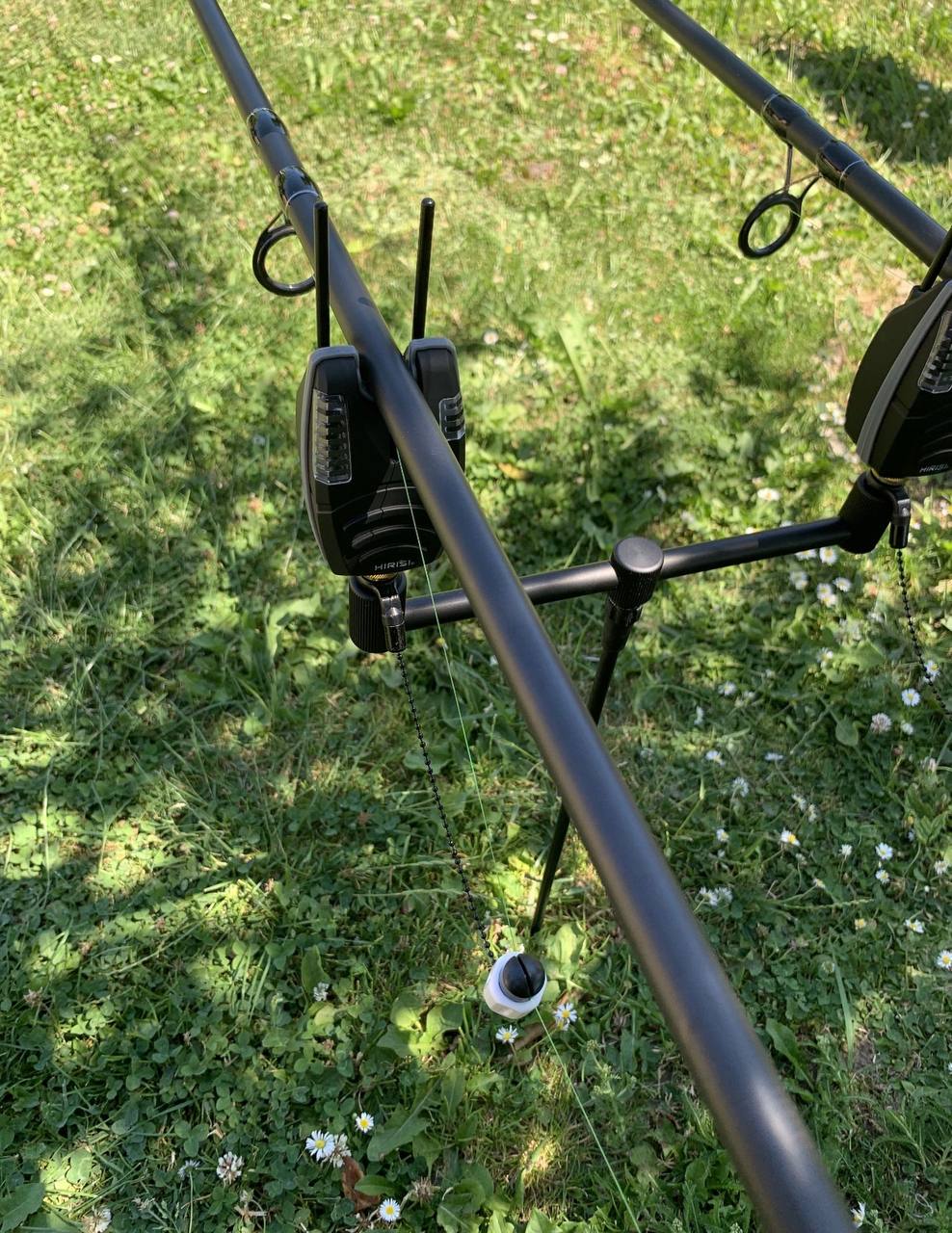 Сигналізатори Hirisi та два свінгери Hirisi, Зображення 1