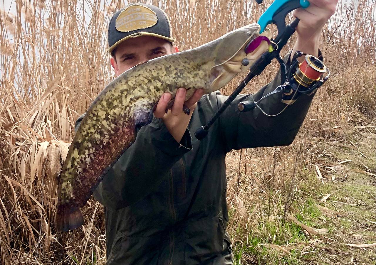 Поролонові приманки, Зображення 5