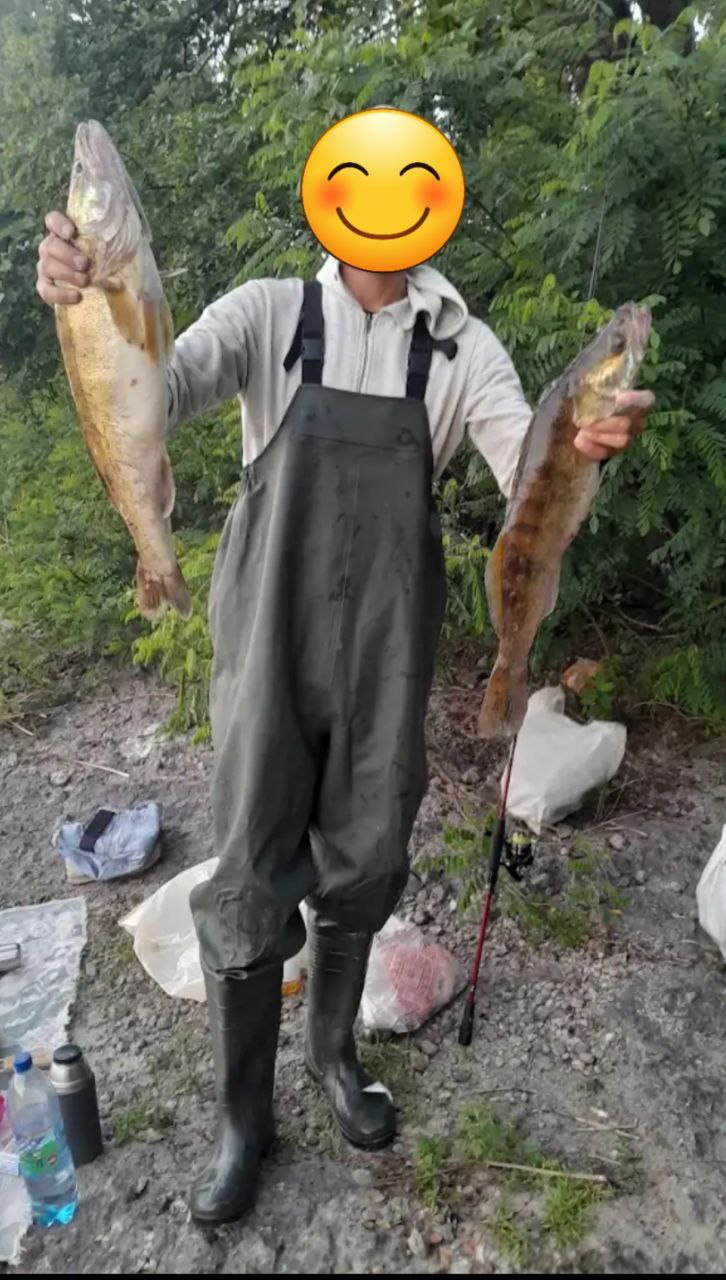 Продам заброды, Зображення 1