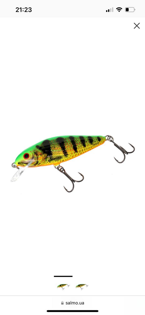 Salmo perch, Зображення 1