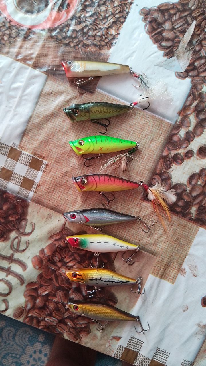 Воблера, Зображення 6