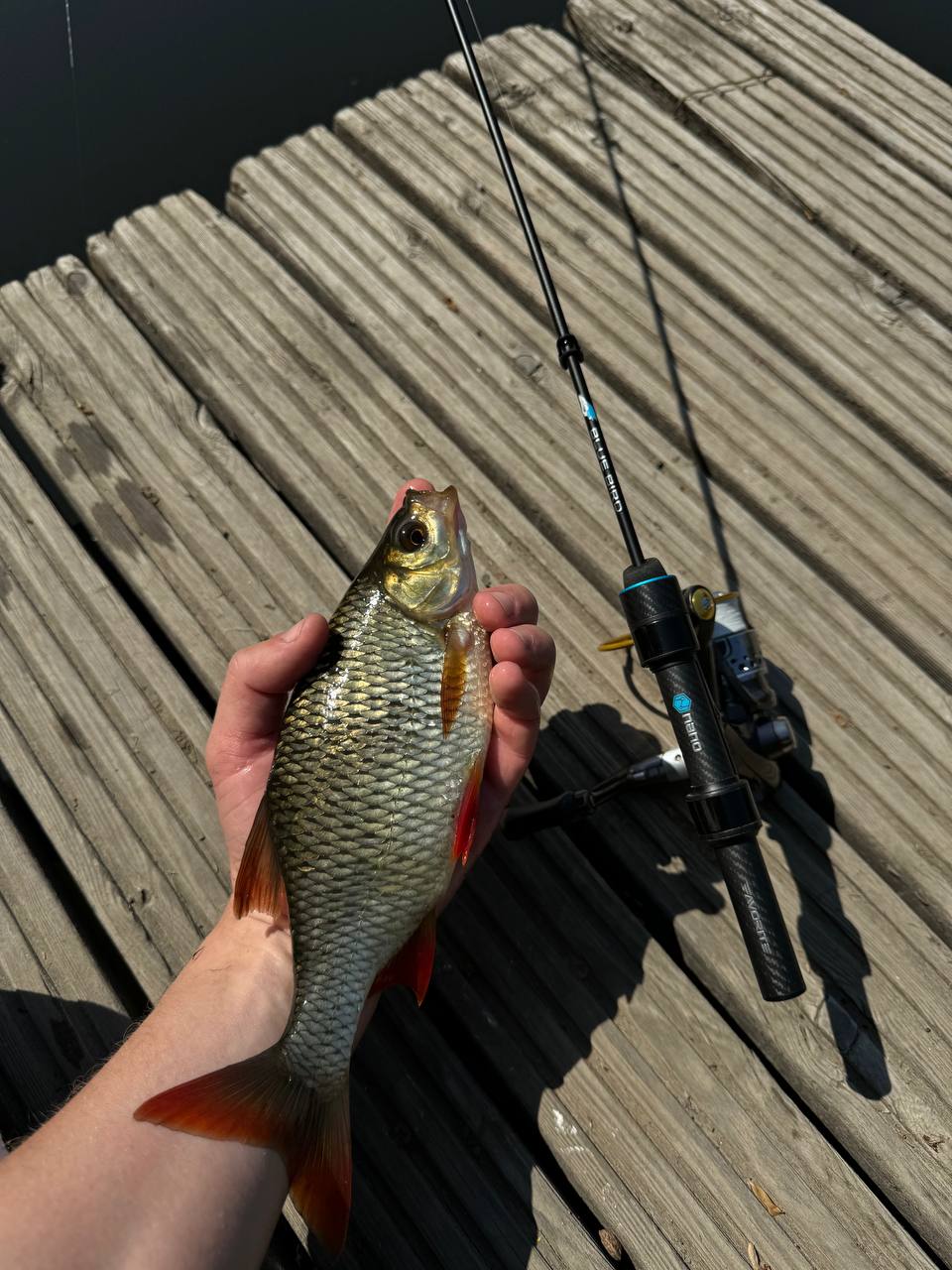 Спінінг favorite blue bird - nano, Зображення 3