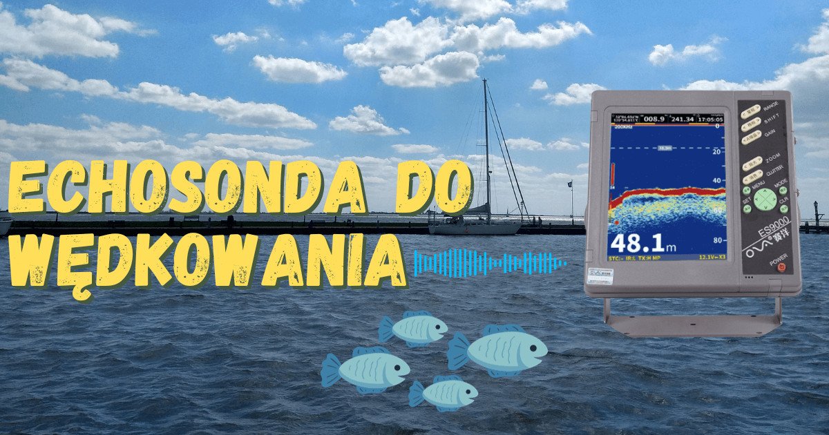 Echosonda do wędkowania: na co zwrócić uwagę przed zakupem? | FisHub