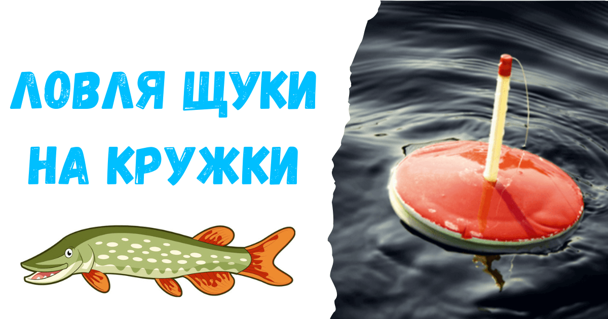 Ловля щуки на кружки | ФішХаб
