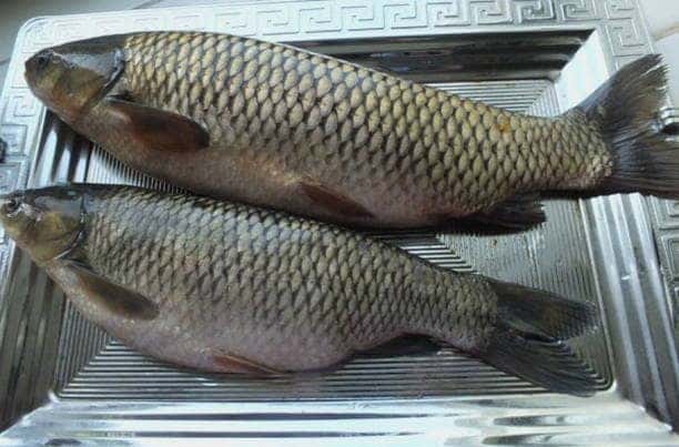 Limpiamos el pescado
