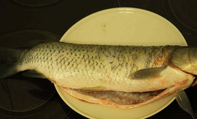Limpiamos el pescado