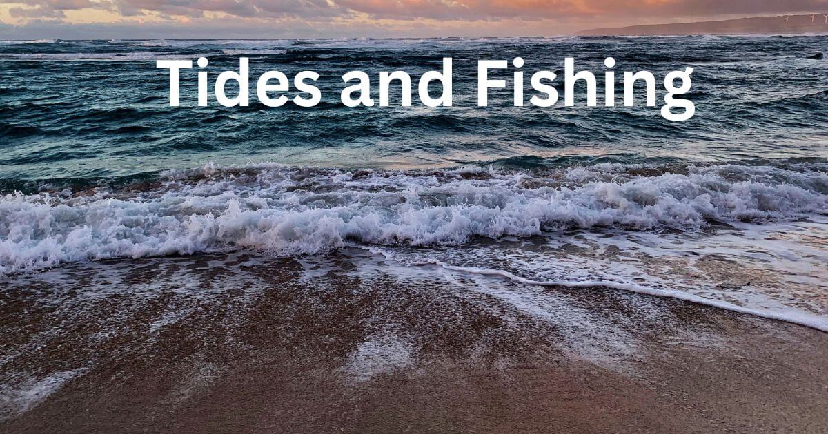 Tides and Fishing Understanding Nature's Dance FisHub