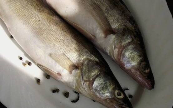 Coating the fish