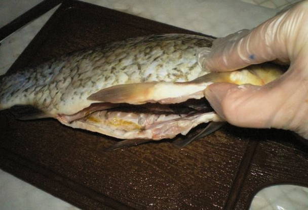 Rinse the Fish