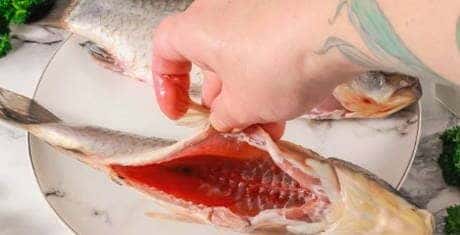 Clean the fish