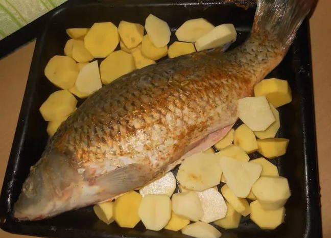 Frotter le poisson et disposer les pommes de terre