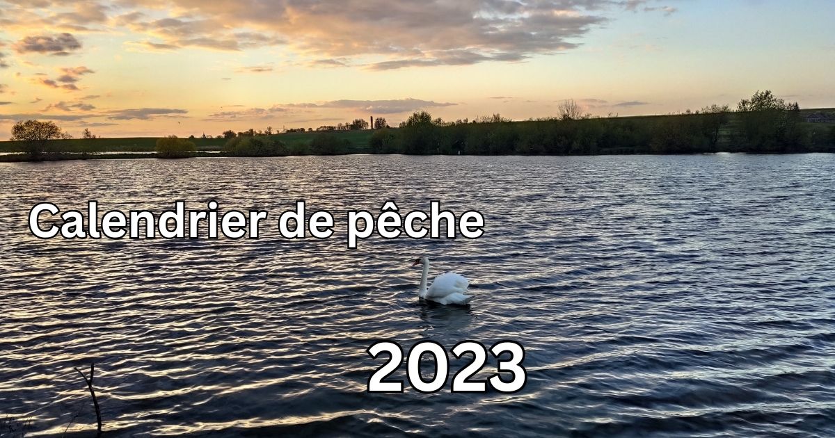 Сalendrier De Pêche 2023