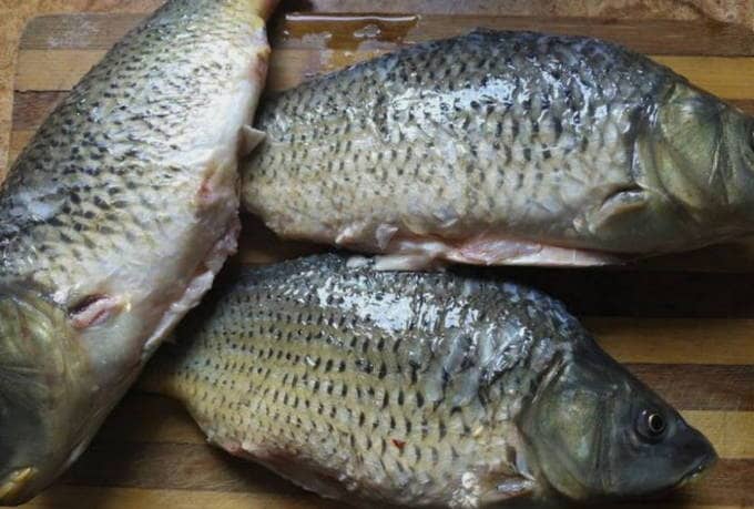 Break down the carp