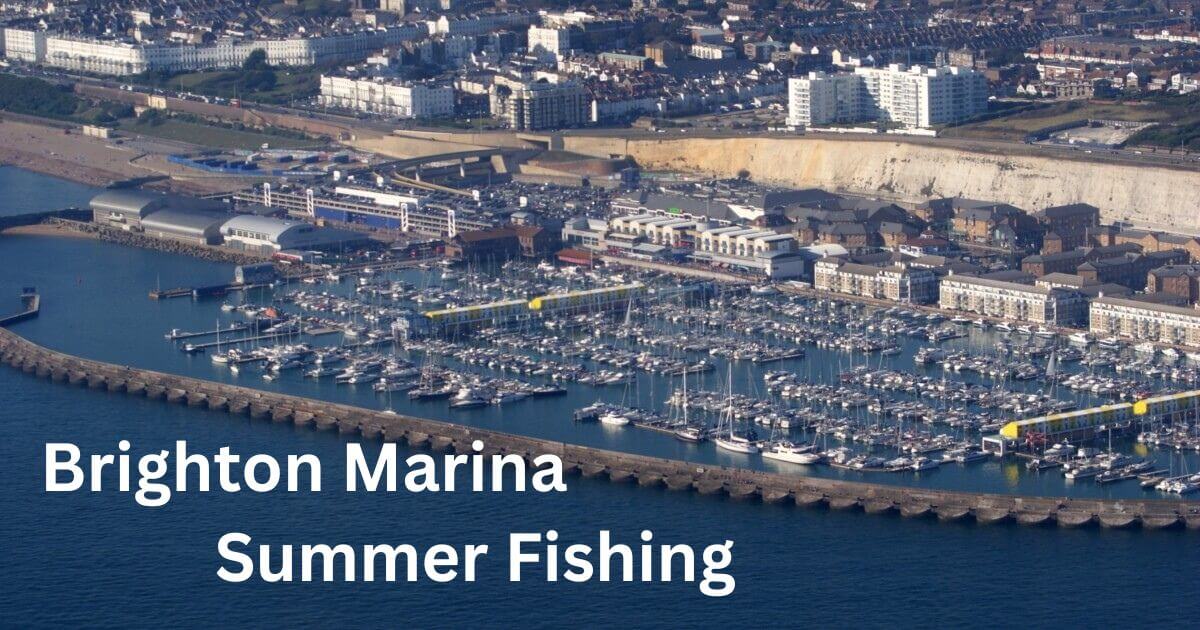 Summer Fishing at Brighton Marina