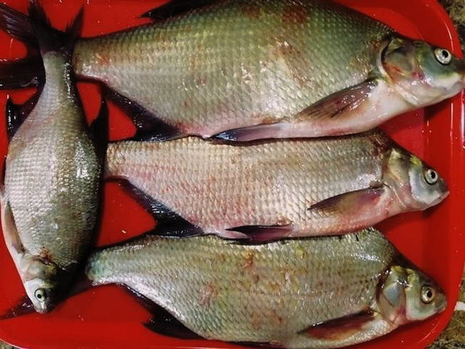 Préparer le poisson