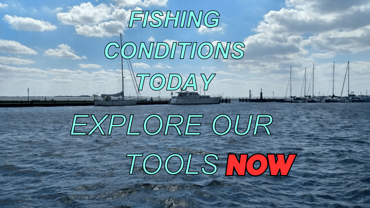 Exploring Fishing Conditions Today: Enhancing Your Angling Success