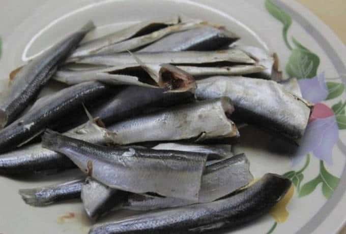 Gut the Baltic herring