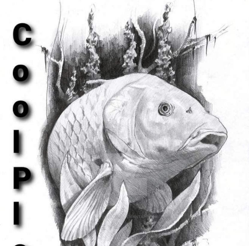 CoolPlace Kyiv - cпортивна та любительська рибалка