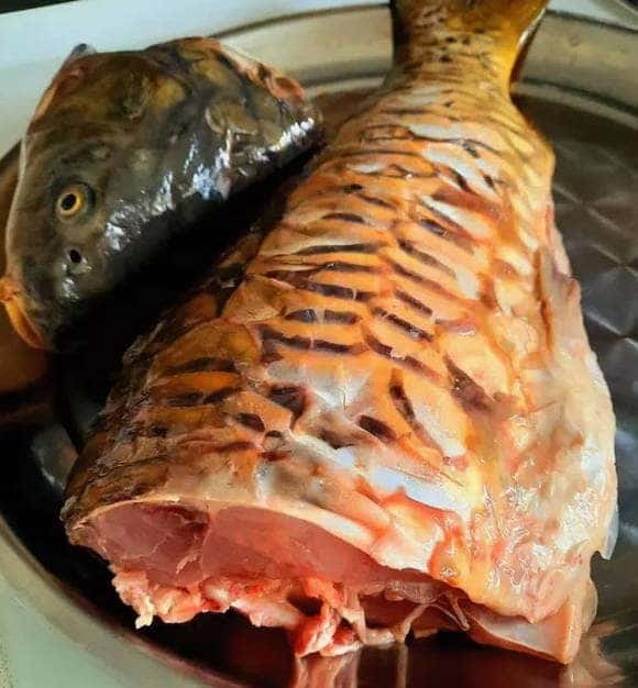 Cut the wild carp into steaks