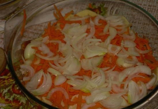Zwiebel auflegen
