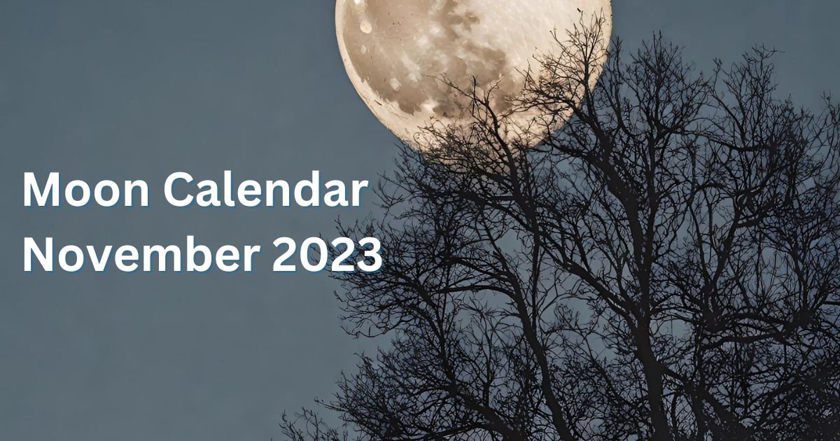 Moon Calendar of November 2023 FisHub