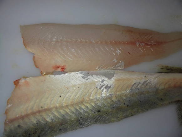 Break the zander down into fillets