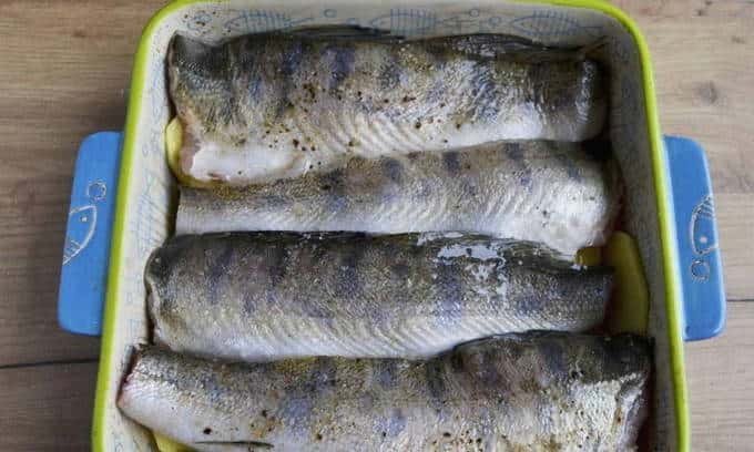 Placing the fish on the potatoes