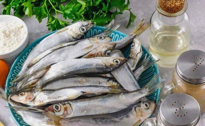 Den Fisch auftauen