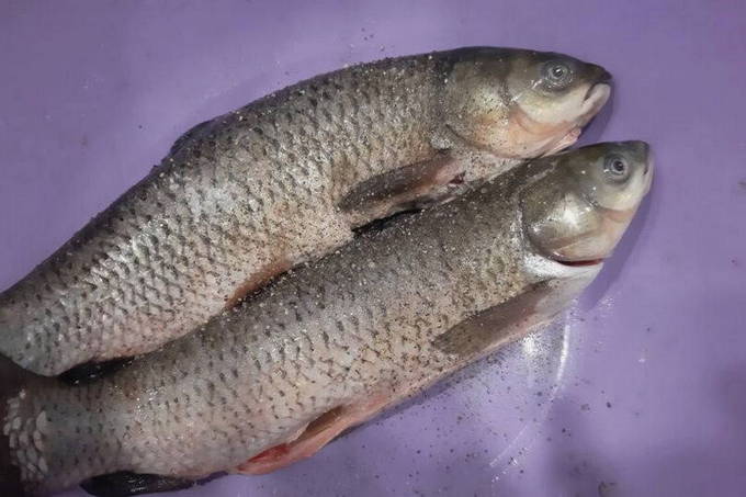 Den Fisch einreiben