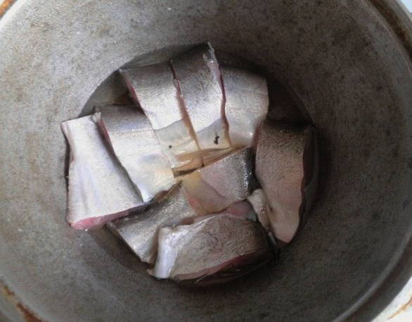 Lay the first layer of fish