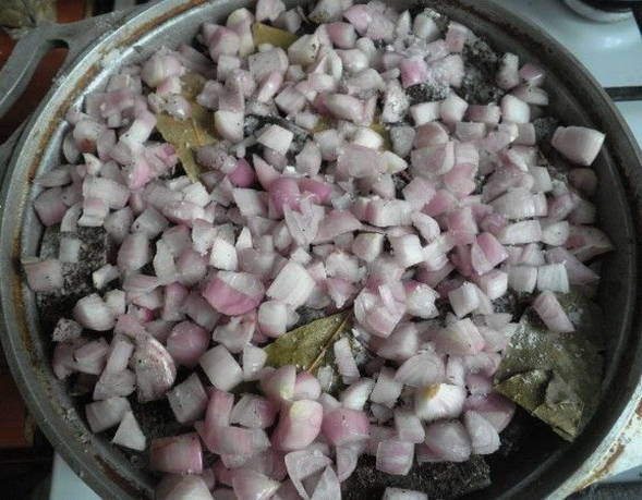 Cubrimos con el resto de la cebolla