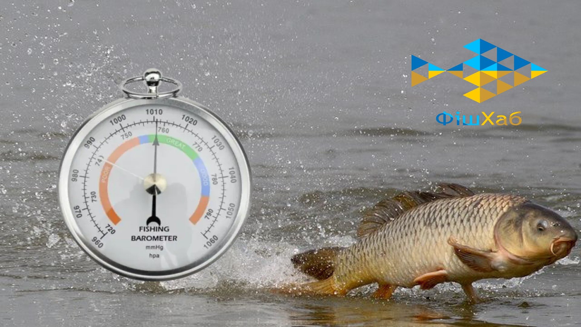 Optimální tlak pro rybáře: tabulka tlaku pro mírumilovné ryby a dravce