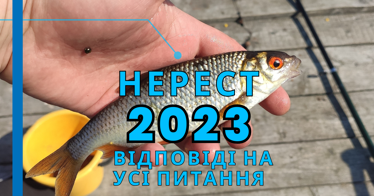 Правила риболовлі під час нересту 2023: Що потрібно знати