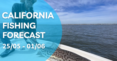 Weekly fishing forecast for California. Find out the best fishing days and tips for the week!