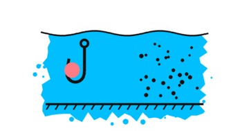 Baits and groundbait