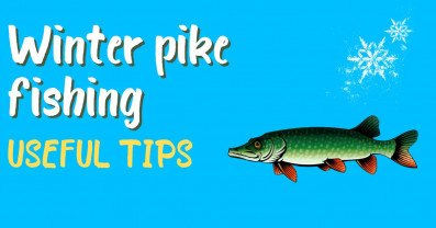 Winter pike fishing - proven methods, professional approach and useful tips