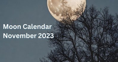 Moon Calendar of November 2023