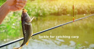 Tackle for catching carp