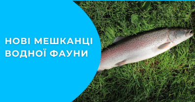 Дивовижне поповнення: вперше за незалежності українські водойми отримали нових мешканців